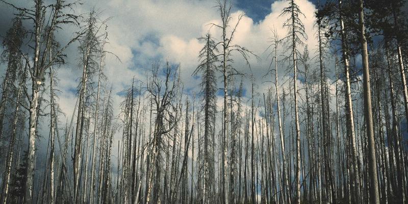 专业团队如何成就卓越资产管理？解析江西一洲投资的人才战略与长期价值