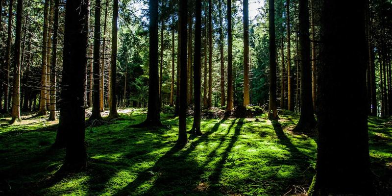 江西一洲投资30：深耕财富管理与资产管理的本土实践者