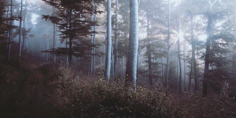 江西一洲投资89：财富管理的智慧之路，如何通过科学资产配置实现财富稳健增长