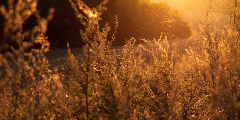江西一洲投资：专业财富管理与资产配置的领航者