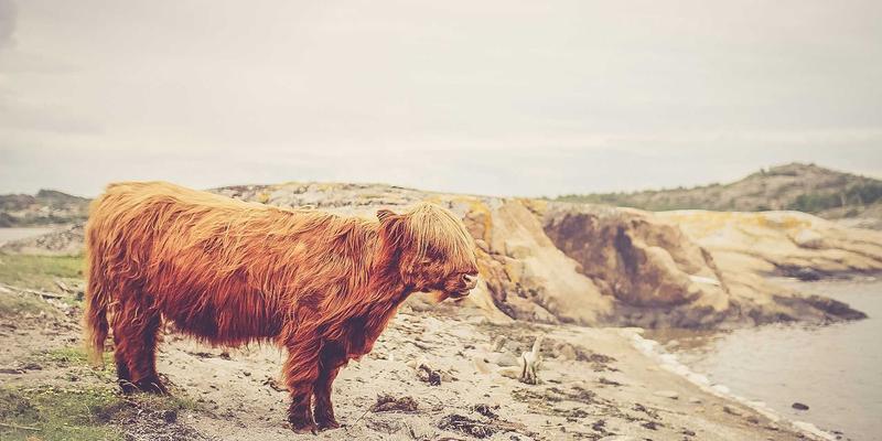 江西一洲投资：专业资产配置与精细化资产管理之道