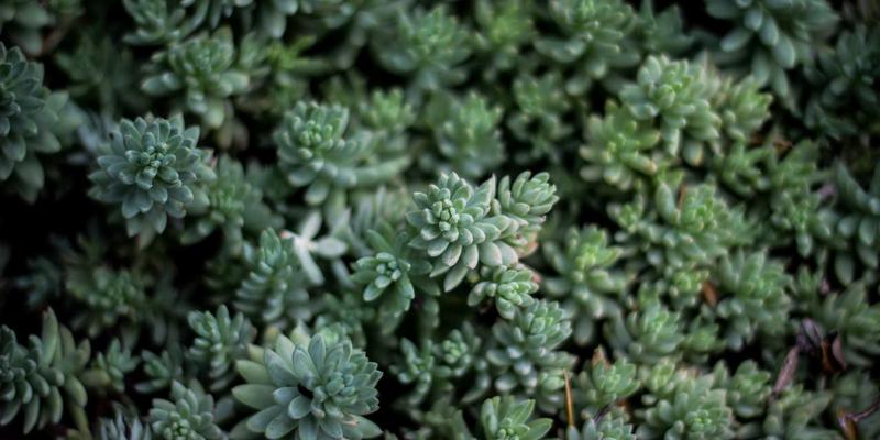 江西一洲投资：以资产配置视角，解析孵化器早期投资与退出机制