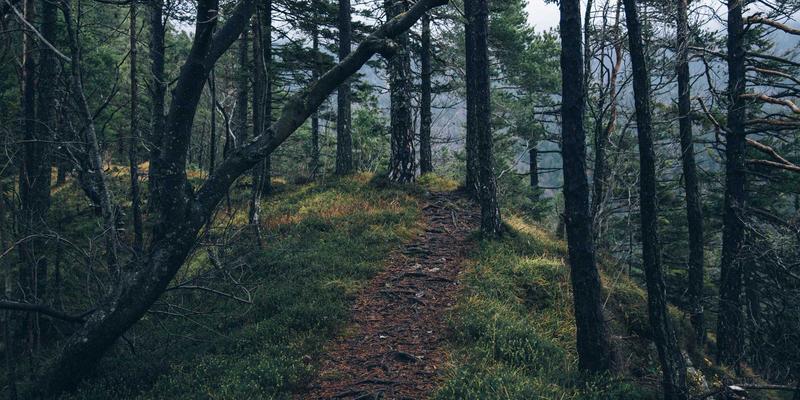 江西一洲投资：以透明互信的投资者关系，构建财富管理与资产配置的长期价值