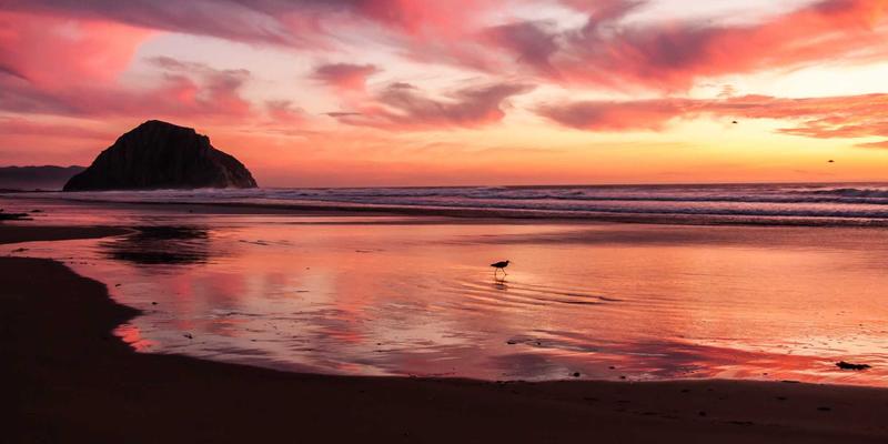 江西一洲投资入门：财富管理、资产配置与资产管理的核心策略