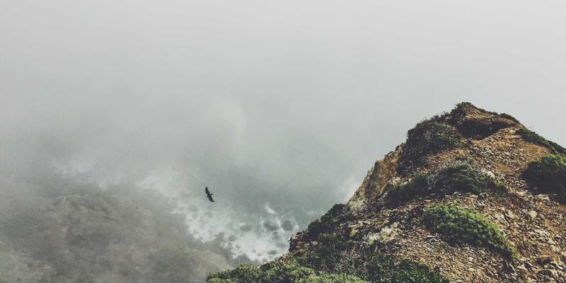 江西一洲投资：如何通过数据分析与行业研究驱动前瞻性财富管理