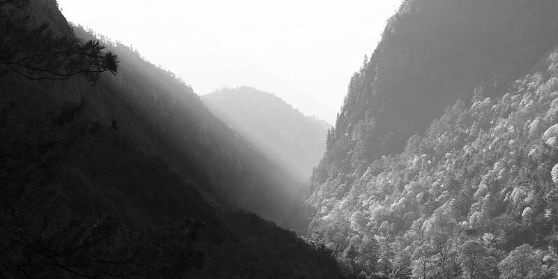 江西一洲投资：家族办公室如何通过定制化资产配置实现财富传承与保值增值