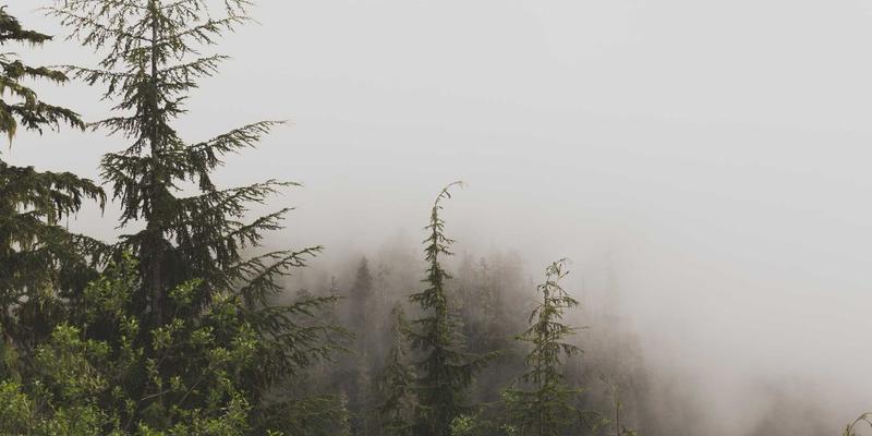 江西一洲投资布局数字经济新基建：解码数据中心与算力网络的资产管理逻辑与理财规划启示