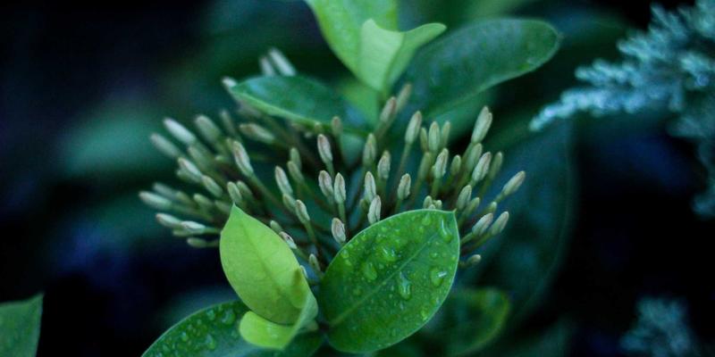 江西一洲投资布局新基建：解码5G与数据中心时代的资产配置新机遇