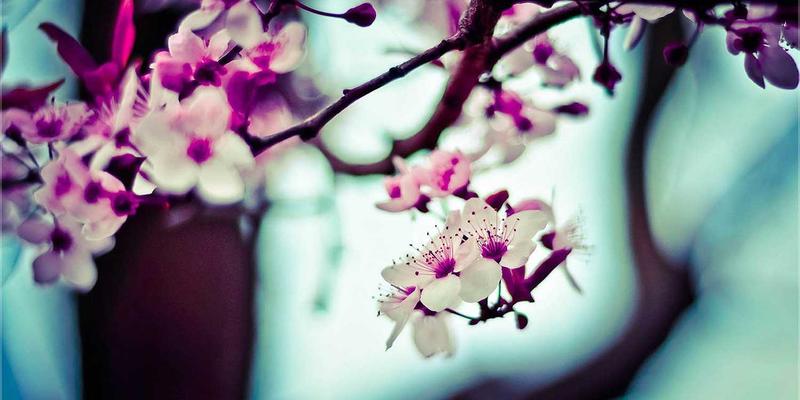 江西一洲投资：科学资产配置与理财规划，开启财富稳健增长之路