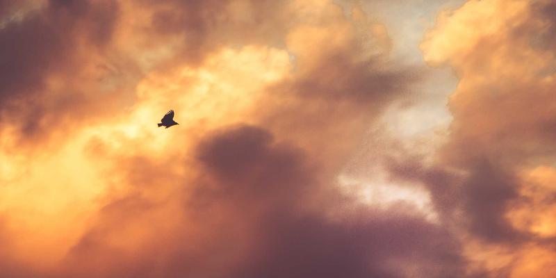 江西一洲投资：科学资产配置与理财规划的三大最佳实践