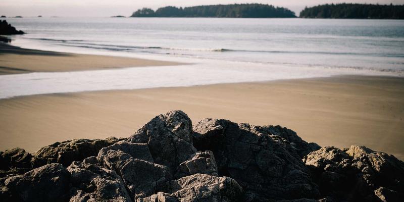 江西一洲投资集团品牌建设之道：从区域品牌到行业影响力的跨越