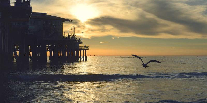 江西一洲投资集团数字化转型路径：金融科技如何赋能资产配置与理财规划