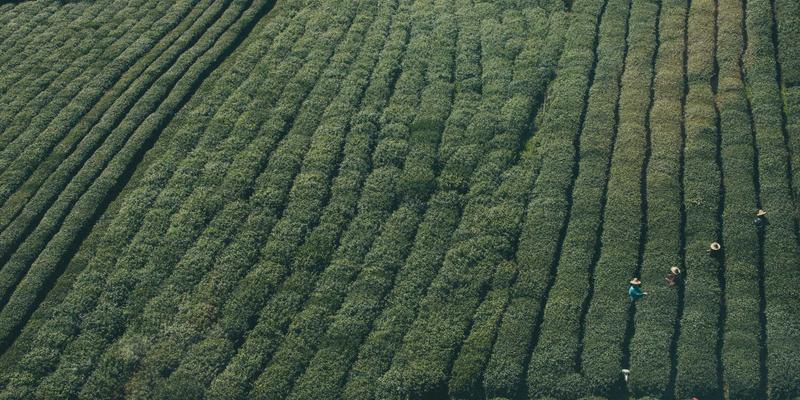 江西一洲投资集团最新战略解析：专业理财规划如何成就财富管理新格局
