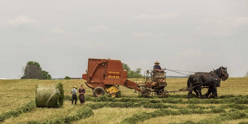 穿透式资产管理新范式：江西一洲投资如何以数字化风控体系重塑理财规划与财富管理